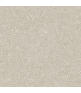 4035-37745-1 - Rini Beige Distressed Wallpaper by Advantage