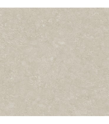4035-37745-1 - Rini Beige Distressed Wallpaper by Advantage