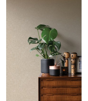 4035-37745-1 - Rini Beige Distressed Wallpaper by Advantage