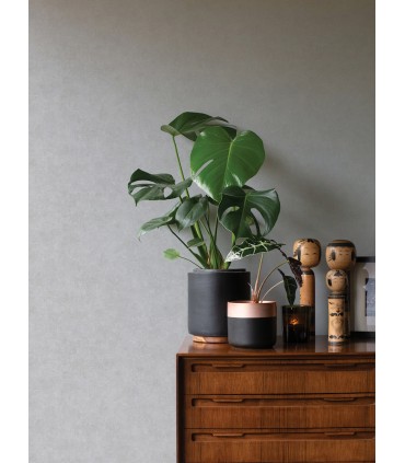 4035-37656-8 - Ryu Light Grey Cement Texture Wallpaper by Advantage