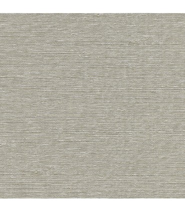 2984-8004 - Aspero Light Grey Faux Grasscloth Wallpaper-Warner XI