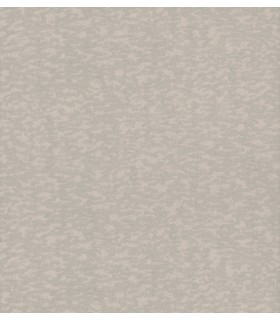 DD3752 - Weathered Cypress Wallpaper- Dazzling Dimensions 2