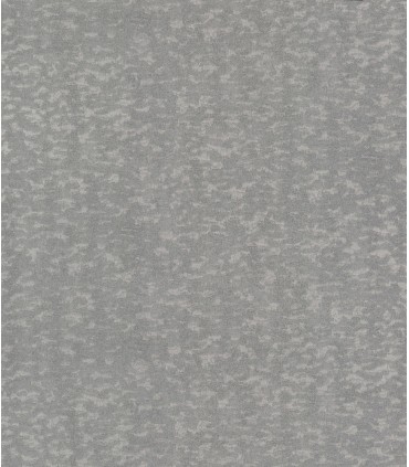 DD3753 - Weathered Cypress Wallpaper- Dazzling Dimensions 2