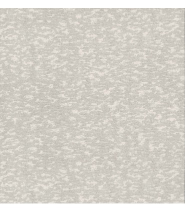 DD3754 - Weathered Cypress Wallpaper- Dazzling Dimensions 2