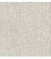 DD3754 - Weathered Cypress Wallpaper- Dazzling Dimensions 2
