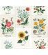 RP7334 - Botanical Prints Wallpaper- Rifle Paper Co. 2