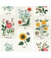 RP7334 - Botanical Prints Wallpaper- Rifle Paper Co. 2