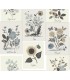 RP7336 - Botanical Prints Wallpaper- Rifle Paper Co. 2