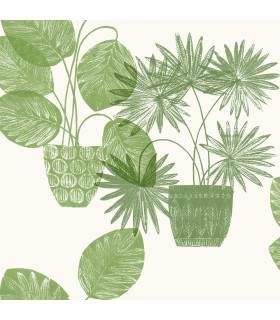 4014-87558 - Aida Green Potted Plant Wallpaper by A Street