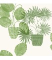 4014-87558 - Aida Green Potted Plant Wallpaper by A Street