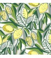 4014-26420 - Meyer Yellow Citrus Wallpaper by A Street