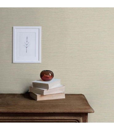 TS81423 - Silk Wallpaper by Seabrook