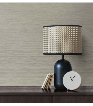 TS81427 - Silk Wallpaper by Seabrook