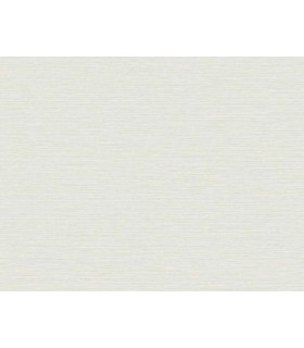 TS81434 - Silk Wallpaper by Seabrook