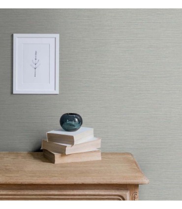 TS81438 - Silk Wallpaper by Seabrook