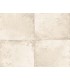 TS81505 - Foundation Wallpaper by Seabrook
