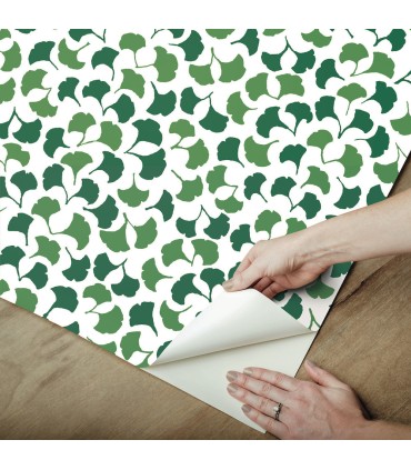 PSW1389RL - Green Forest Glade Peel & Stick Wallpaper by Madcap Cottage