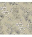 WLD53112W - Shelly  Grey Toucan Toile Wallpaper by Ohpopsi Wild