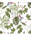 WLD53114W - Clivia White Hummingbird Wallpaper by Ohpopsi Wild