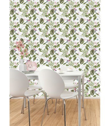 WLD53114W - Clivia White Hummingbird Wallpaper by Ohpopsi Wild