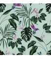 WLD53115W - Clivia Mint Hummingbird Wallpaper by Ohpopsi Wild