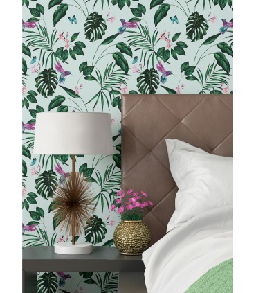 WLD53115W - Clivia Mint Hummingbird Wallpaper by Ohpopsi Wild
