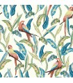WLD53116W - Timor White Tropical Parrot Wallpaper by Ohpopsi Wild