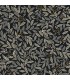PSW1472RL - Willowberry Peel & Stick Wallpaper by Rifle Paper