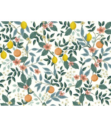 PSW1479RL - Citrus Grove Peel & Stick Wallpaper by Rifle Paper