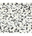 CC1201 - Black & White Capiz Shells Offering Wallpaper by Carol Benson Cobb