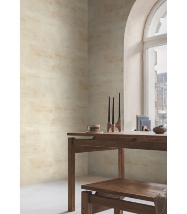 CC1221 - Desert Salt Flats Wallpaper by Carol Benson Cobb