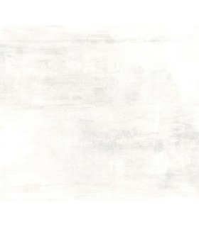 CC1224 - White and Grey Salt Flats Wallpaper by Carol Benson Cobb
