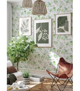 4066-26565 - Jonah Light Green Leaf Trail Wallpaper by A Street