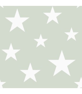 4060-128865 - Amira Sage Stars Wallpaper by Chesapeake