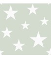 4060-128865 - Amira Sage Stars Wallpaper by Chesapeake