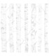 4060-138944 - Birdie Grey Birch Wallpaper by Chesapeake