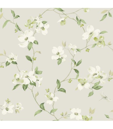 トップス Bonjour Diary Wallpaper flower print Bonjour – Junior Edition