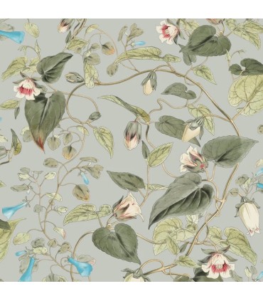 BL1712 - Moon Flower Wallpaper-Blooms 2 by York