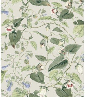 BL1713 - Moon Flower Wallpaper-Blooms 2 by York