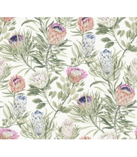 BL1752 - Protea Wallpaper-Blooms 2 by York