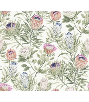 BL1752 - Protea Wallpaper-Blooms 2 by York