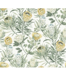 BL1754 - Protea Wallpaper-Blooms 2 by York
