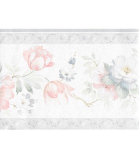 970B61891 - Mirage Border Special