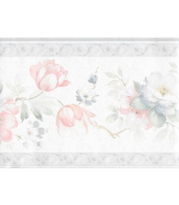 970B61891 - Mirage Border Special