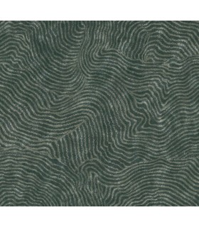 OI0711 - Modern Wood Wallpaper-New Origins by York