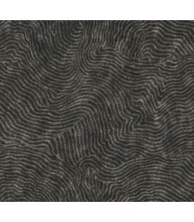 OI0716 - Modern Wood Wallpaper-New Origins by York