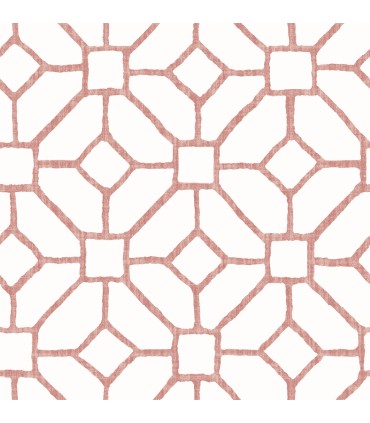 4120-26830 - Addis Coral Trellis Wallpaper-Middleton by A Street