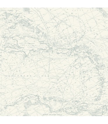 4071-71058 - Charts Aqua Nautical Chart Wallpaper-Blue Heron