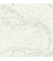 4071-71058 - Charts Aqua Nautical Chart Wallpaper-Blue Heron