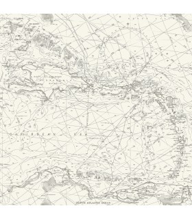 4071-71055 - Charts Black Nautical Chart Wallpaper-Blue Heron